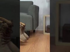 کفش ورزشی مردانه، کفش ضد لغز و کفش مقاوم به پوشیدن